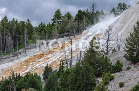 Yellowstone, Mammoth Hot Springs Stock Photos