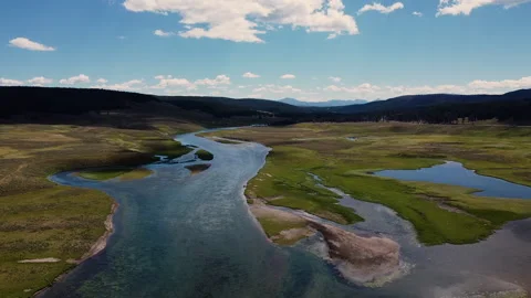 Yellowstone meadows Video stock 219430527