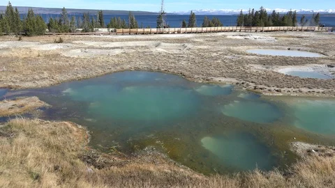 Yellowstone Mimulus Pool at West Thumb Stock Footage 95670560