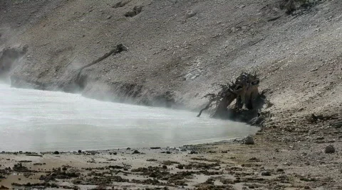 Yellowstone Mud Vulcano dead tree P HD 2335 Stock Footage 540721