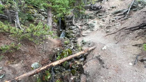 Yellowstone Nature Trails Stock Footage 297221011