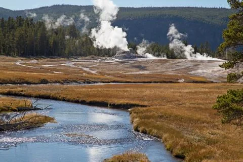 Yellowstone NP Stock Photos