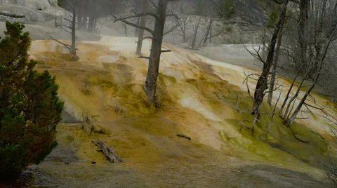 YELLOWSTONE PARK – MAMMOTH HOT SPRINGS (ZOOM IN) Stock Footage