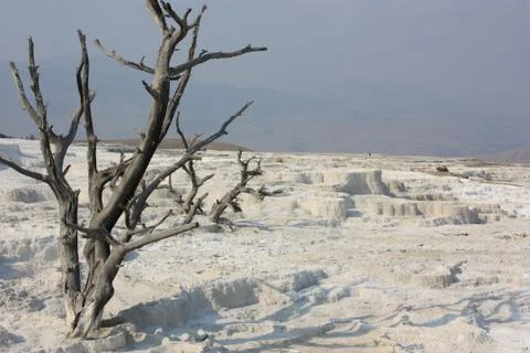Yellowstone Stock Photos