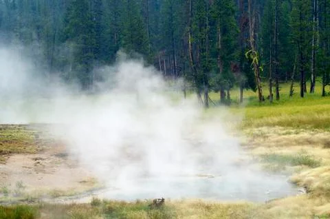 Yellowstone Stock Photos