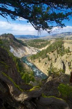 Yellowstone Fotos de archivo