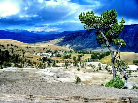 Yellowstone Stock Photos