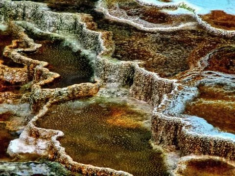 Yellowstone Stock Photos