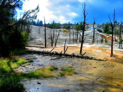 Yellowstone Stock Photos