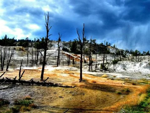 Yellowstone Stock Photos