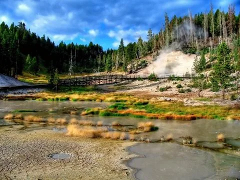 Yellowstone Stock Photos