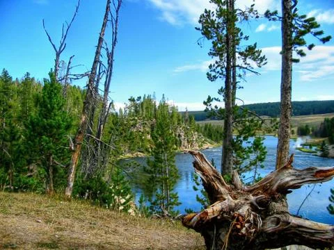 Yellowstone Stock Photos