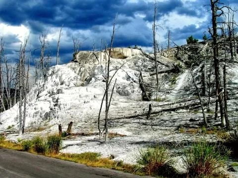 Yellowstone Stock Photos