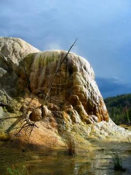 Yellowstone Stock Photos