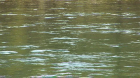 Yellowstone River - close up Video stock 82499