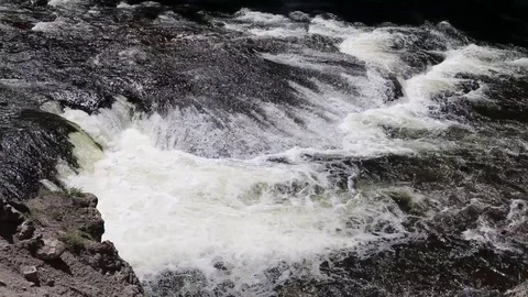 Yellowstone River Flowing Stock Footage 100525812