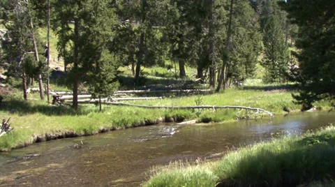 Yellowstone river Stock Footage 27800124