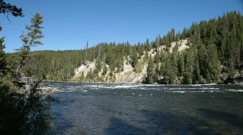 Yellowstone River forest P HD 2631 Stock Footage 536882