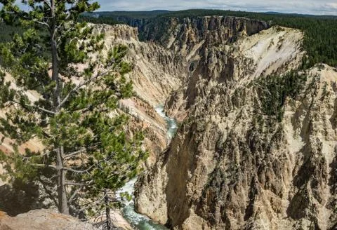 Yellowstone River Stock Photos