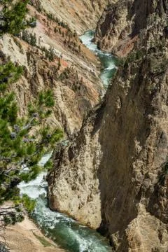 Yellowstone River Stock Photos