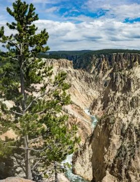 Yellowstone River Stock Photos