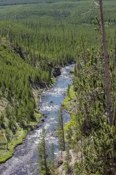 Yellowstone River Stock Photos