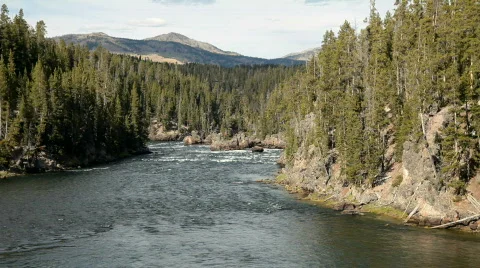 Yellowstone River rapids P HD 2387 Video stock 539964