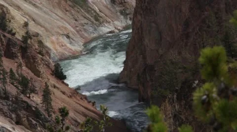 Yellowstone river through foliage Stock Footage 21887873