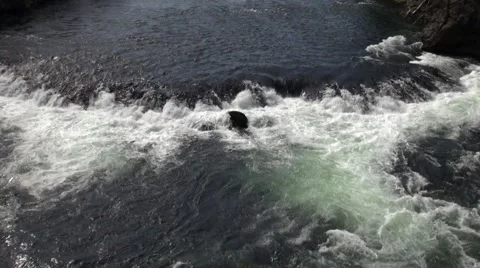 The Yellowstone River, Wyoming Stock Footage 42877981