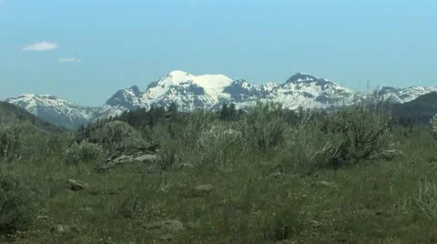 Yellowstone Scene Video stock 10317844