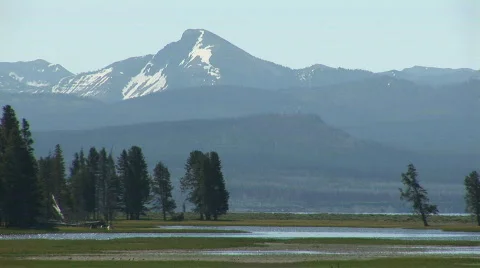 Yellowstone scenery Video stock 82531