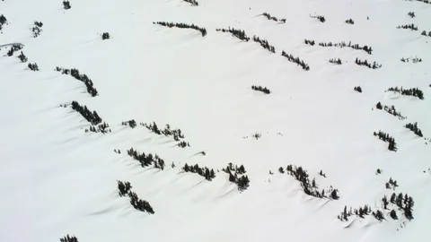 Yellowstone Snow Vidéo 94583933