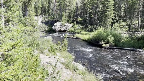 Yellowstone Stream Stock Footage 160518836