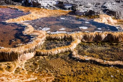 Yellowstone Thermal Feature Close Up Stock Photos