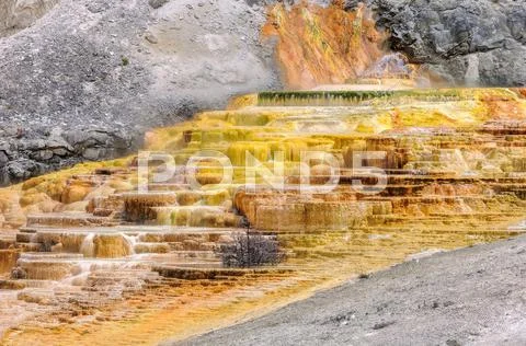 Yellowstone, Travertine Terrace, Mammoth Hot Springs Stock Photos