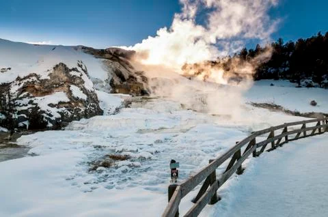 Yellowstone winter landscape Stock Photos