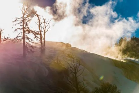 Yellowstone winter landscape Stock Photos