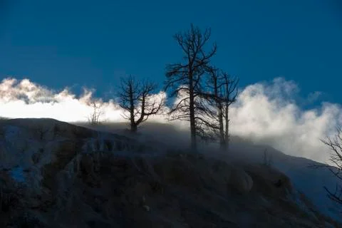 Yellowstone winter landscape Stock Photos