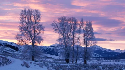 Yellowstone Winter Sunrise Stock Footage 146343958