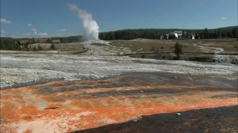 Yellowstone13 Stock Footage 22653913