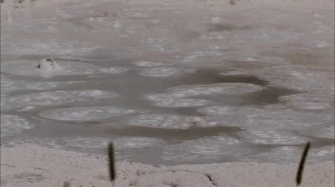 Yellowstone2 Video stock 22654396