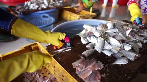 Yellowstripe scad fish manual processing production Stock Footage 88978829
