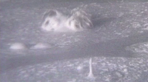 YellStrom 1 Stock Footage 302017