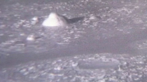 YellStrom 2 Video stock 302019