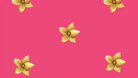 Yelow exotic flowers pattern Stock Footage 201905529