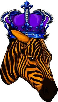 Yelow head zebra with crow vector illustration 스톡 일러스트