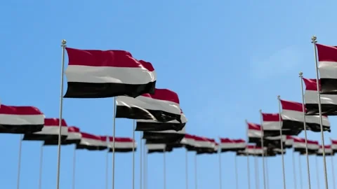 Yemen Row Of Flags Animation Stock-Footage 148807405