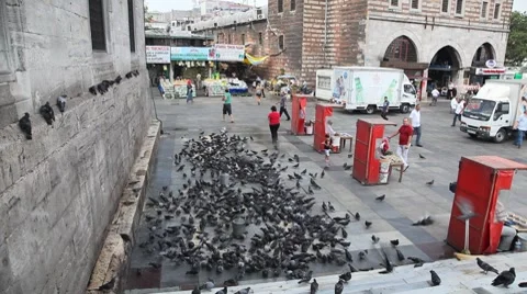 Yeni Cami Mosque 스톡 동영상 8668264