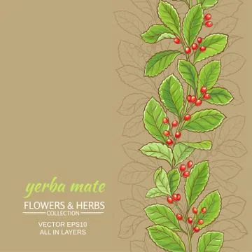 Yerba mate  background Stock Illustration
