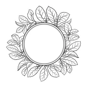 Yerba Mate Outline Round Frame. Stock Illustration
